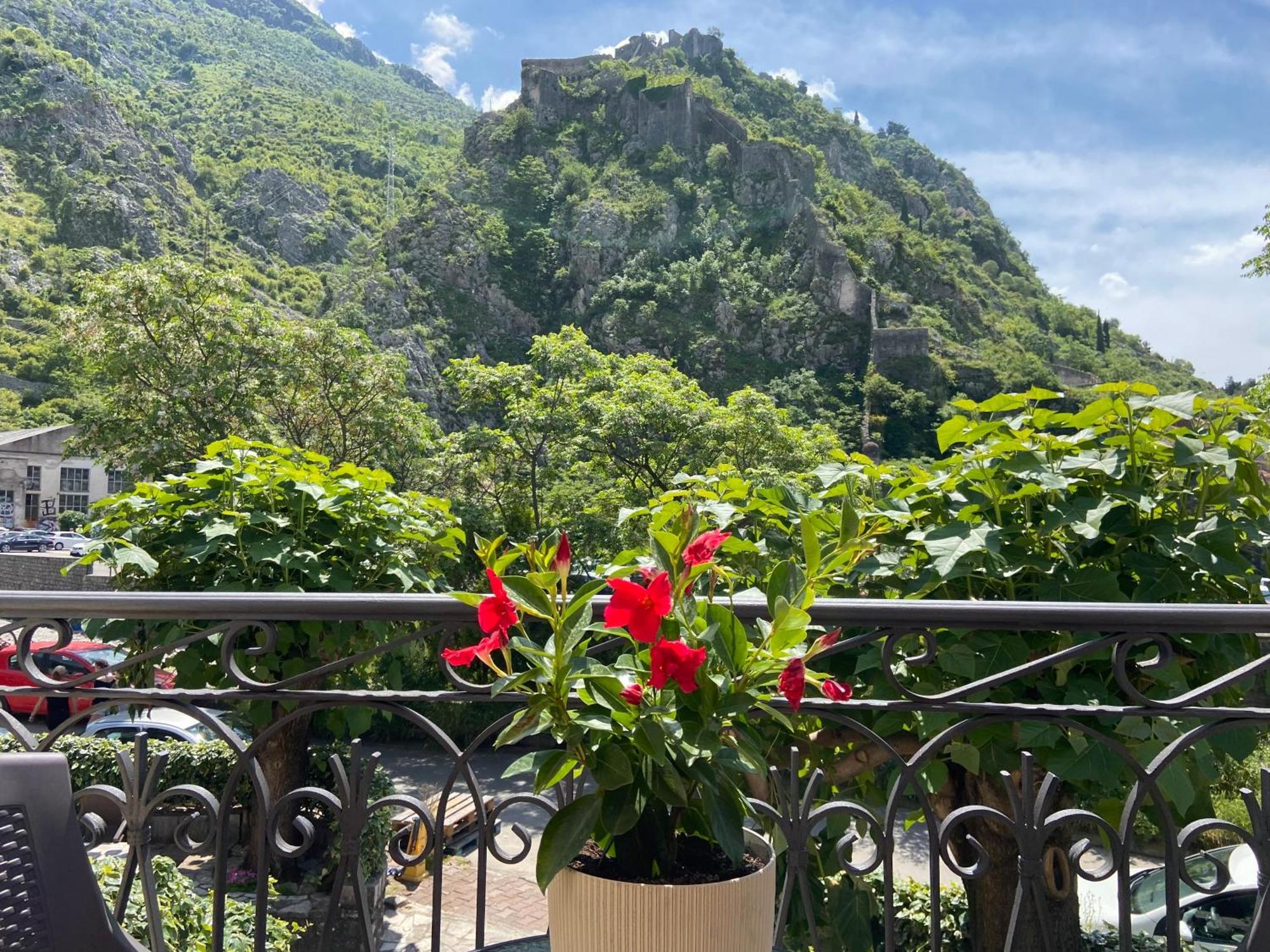 Fiumera Kotor Apartment Luaran gambar